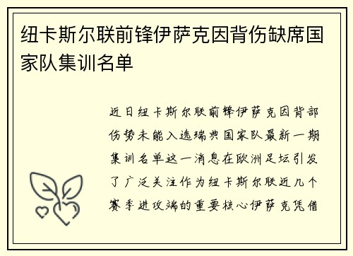 纽卡斯尔联前锋伊萨克因背伤缺席国家队集训名单